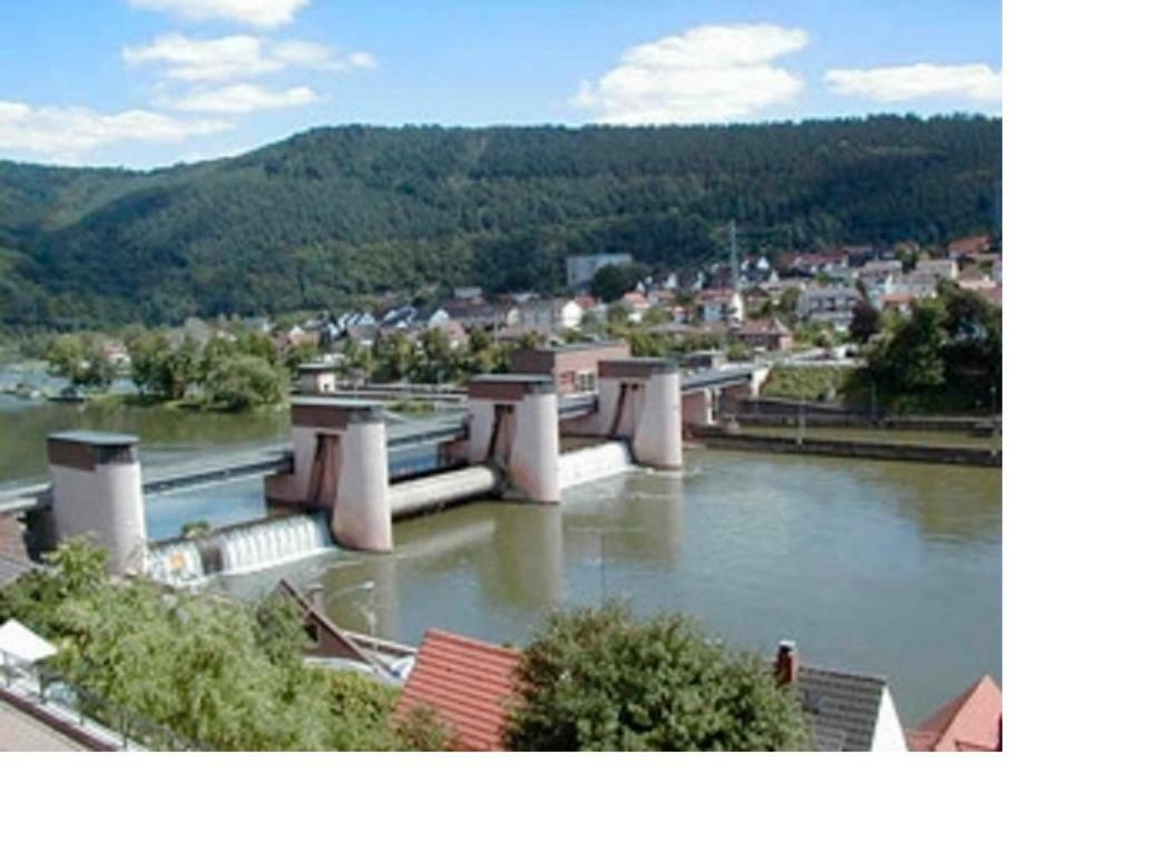 Ferienwohnung Christel Hirschhorn-Neckar Exterior foto